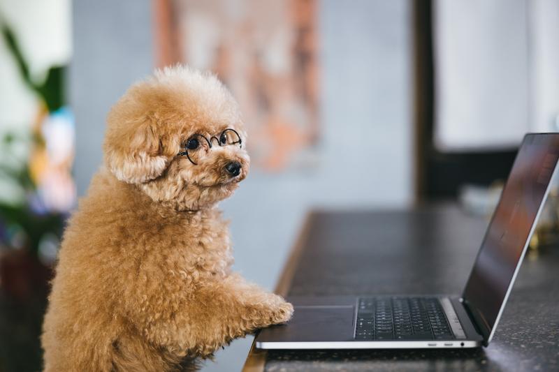 出先のテレワーク