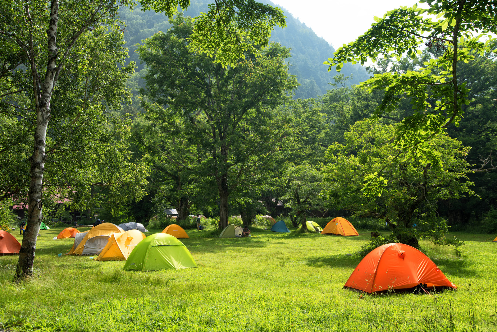 21年はフェスのキャンプ宿泊はできる 楽しいライブ遠征のために